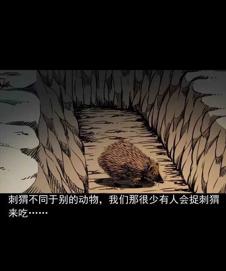 恐怖漫画推荐《吃刺猬的人》 为治怪病吃吃刺猬险丧命