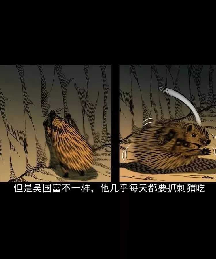 恐怖漫画推荐《吃刺猬的人》 为治怪病吃吃刺猬险丧命