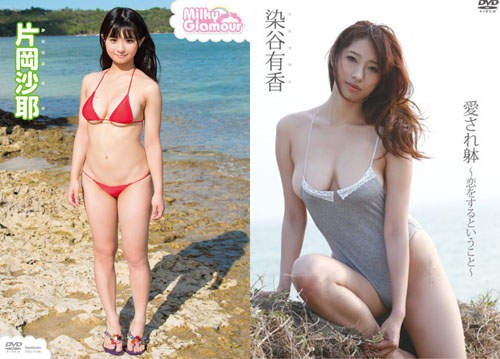 【6upoker】2015年日本相扑级写真偶像排行榜 含乳量又超标了