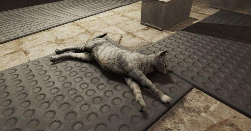 【6upoker】超人气游戏《异尘余生76》 游戏玩家可以吃猫气炸猫奴