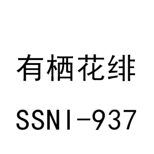 11月销量排名 新人成绩最好的是叶爱排名第十八