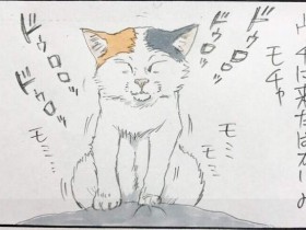 【6upoker】猫的调皮行为四格漫画 当做气垫床单弹来弹去