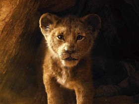【6upoker】真人版《狮子王》预告片重现原版画面 导演温子仁回应为叫“真人版”