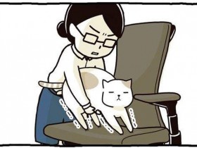 【6upoker】漫画家与猫咪生活的治愈漫画 喵星人讨摸摸超可爱