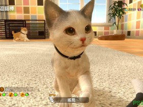 【6upoker】养成游戏《小小伙伴 -狗狗&猫猫-》中文版将发售 玩家变身铲屎官
