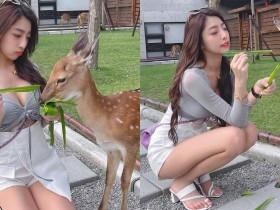 【6upoker】動物農場驚見「爆乳美腿妹」甜餵小鹿斑比,超療癒畫面讓人瘋狂心動!