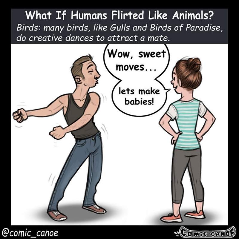 动物求偶行为“拟人化” 插画家Ben Hed告诉你动物怎么求偶