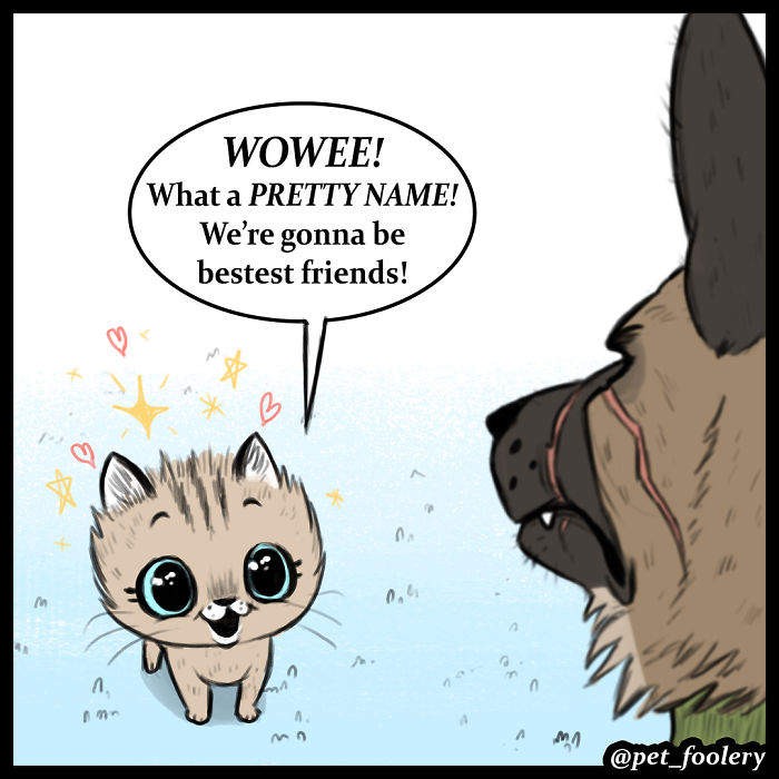 最新动物漫画《小精灵与布鲁托》 退役德国牧羊犬与小猫暖心故事