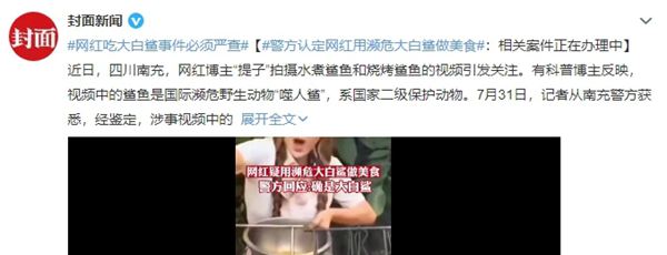 网红提子大白鲨做美食结果定了网红提子大白鲨做美食结果定了！噬人鲨无疑！相关人...