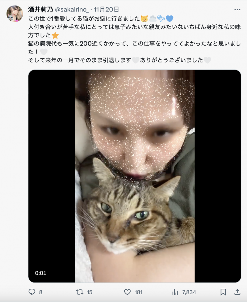 爱猫过世了⋯东北美人的酒井莉乃也不做了！