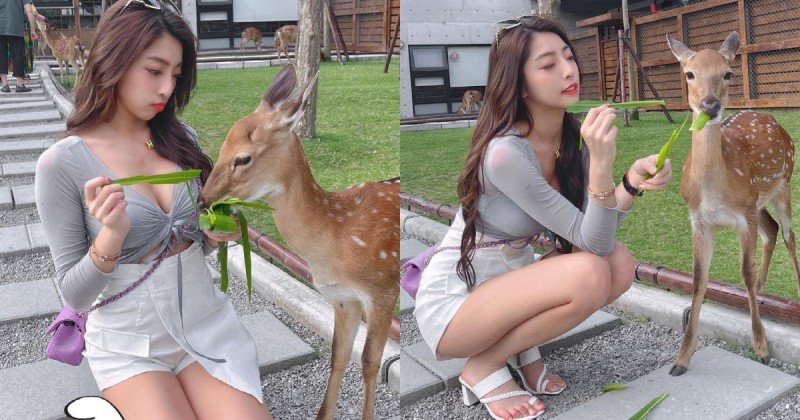 【6upoker】動物農場驚見「爆乳美腿妹」甜餵小鹿斑比,超療癒畫面讓人瘋狂心動!